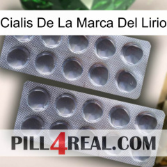 Lily Brand Cialis 31